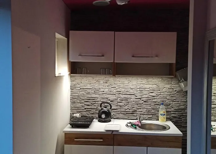 Goscinne Gniazdo דירה Będzin