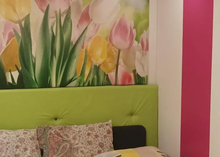 Goscinne Gniazdo דירה *