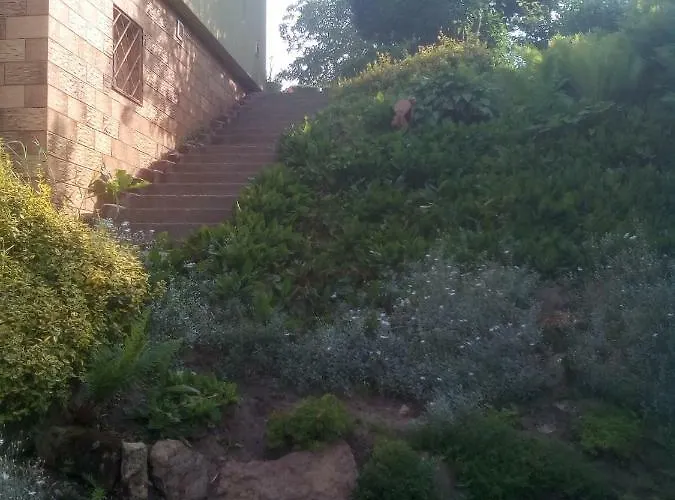 Goscinne Gniazdo Będzin